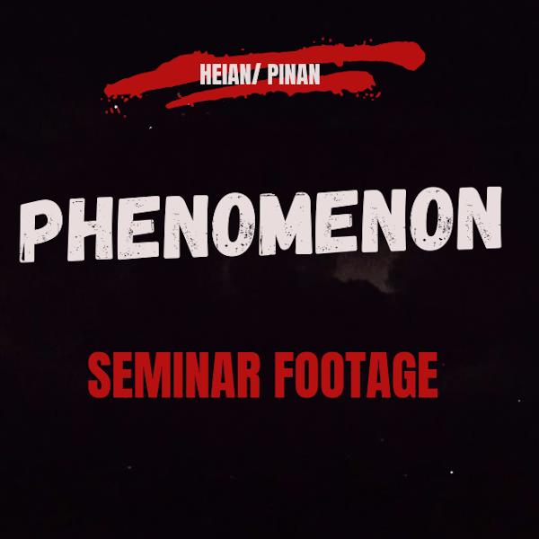 Heian / Pinan Phenomenon Seminar Footage Stream